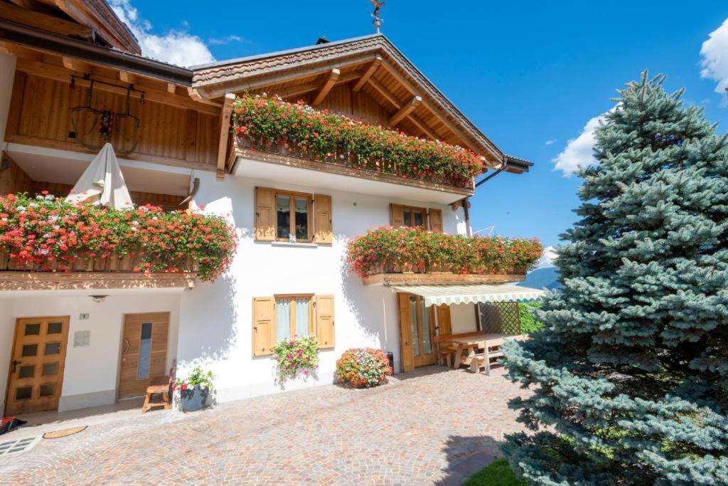 Appartamento Mansarda Patrizia E Franco Val Di Sole Коммеццадура Екстер'єр фото