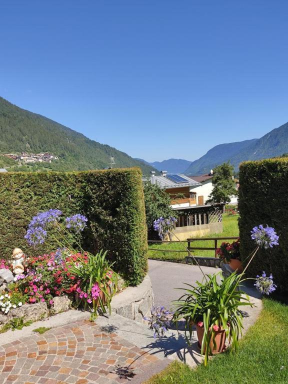 Appartamento Mansarda Patrizia E Franco Val Di Sole Коммеццадура Екстер'єр фото
